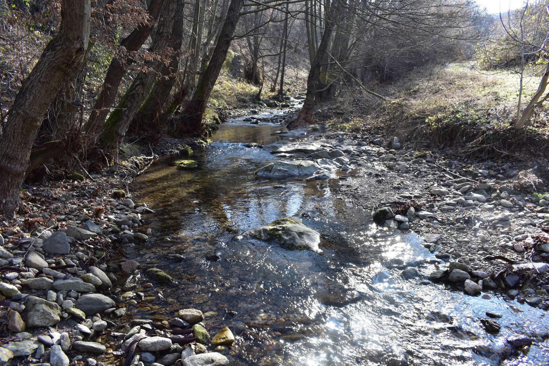 Baniska Reka Река Банска – горно течение на река Мечка (водосборен басейн на река ...
