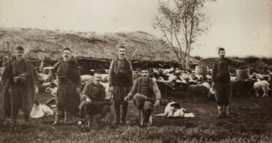 Среднородопските овчари в миналото – Йерархия при овчарите