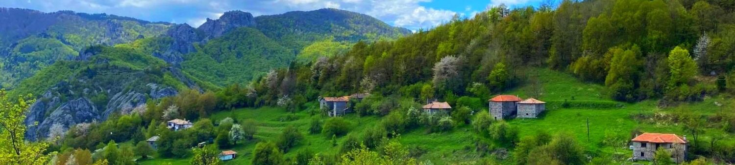 Туристически пътеводител