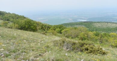 Панорамно било Голия гидик – рид Добростански, Западни Родопи