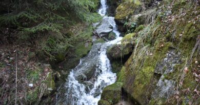 Халиловско дере – десен приток на река Джурковска (водосборен басейн на река Марица) – рид Манастирище, Западни Родопи