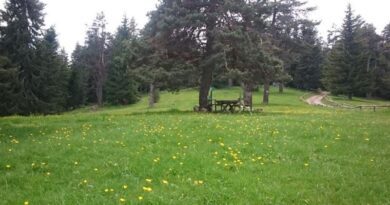 Пешеходен маршрут село Нареченски бани – местност Пашалийца – рид Радюва планина, Западни Родопи