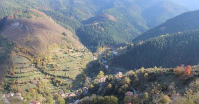 Запазени християнски традиции в бита и говора на село Дряново, община Лъки