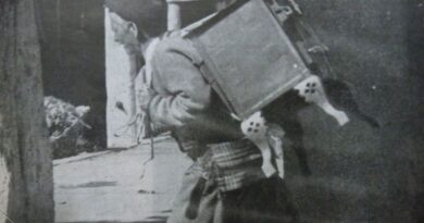 След пазар (галерия архивни фотографии)