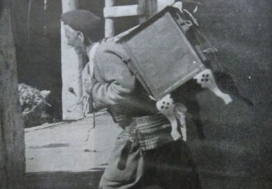 След пазар (галерия архивни фотографии)