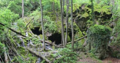 Бигорна скала над водопад Сливодолско падало – рид Добростански, Западни Родопи