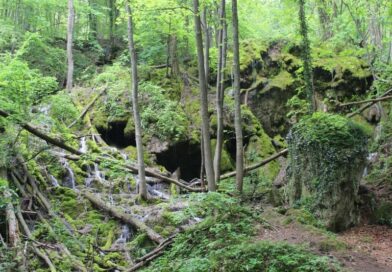 Бигорна скала над водопад Сливодолско падало – рид Добростански, Западни Родопи