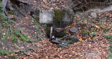 Чешма край село Фотиново – община Батак, област Пловдив