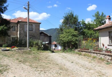 Население и топонимия на лъкинското село Балкан махала