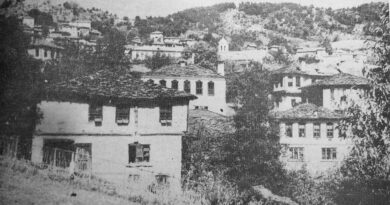 Село Чокманово, община Смолян (галерия архивни фотографии)