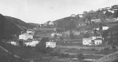 През 1876 г. славейновци и петковци гонят гръцкия владика Калиник