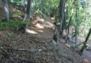Пешеходен маршрут N11 в Биосферен парк „Червената стена“ – Местност Клувията – връх Червената стена – рид Добростански, Западни Родопи