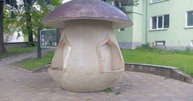 Чешма-манатарка в центъра на село Борино – община Борино, област Смолян