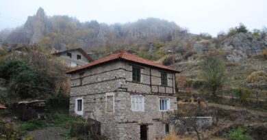 Повторното заселване на лъкинското село Борово през 1903 г.