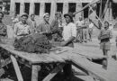 Бригадирско движение в Асеновградско (галерия архивни фотографии)