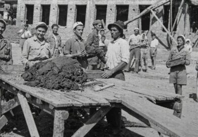 Бригадирско движение в Асеновградско (галерия архивни фотографии)