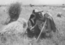 На нивата (галерия архивни фотографии)