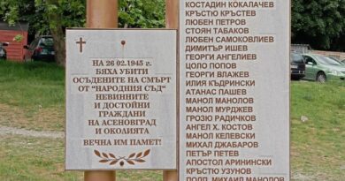 Паметници в Асеновград (галерия)