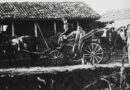 Станимашки винопроизводители (галерия архивни фотографии)