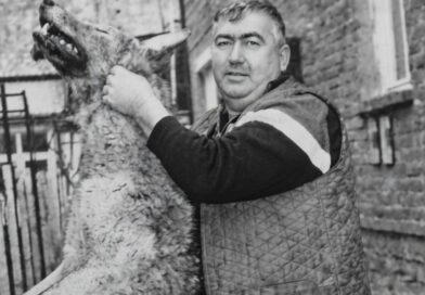 Трофеи (галерия архивни фотографии)