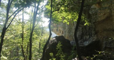 Скално-култов комплекс „Глухите камъни“ – рид Гората, Източни Родопи