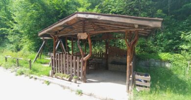 Славеева чешма край село Кошница – община Смолян, област Смолян