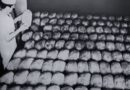 Производство на хляб и пекарни (галерия архивни фотографии)