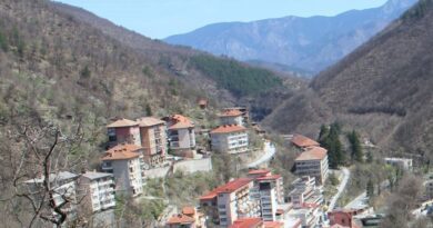 Червеи в питейната вода на Нареченски бани през 2006 г., местните викат спешно министъра
