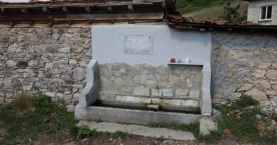 Чешма в село Жълт камък – община Асеновград, област Пловдив
