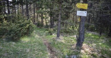 Пешеходен маршрут N5 в Биосферен парк „Червената стена“ – връх Червената стена – връх Безово – рид Добростански, Западни Родопи (галерия)