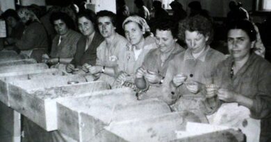 Тютюнев комбинат „Асенова крепост“ (галерия архивни фотографии)