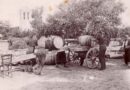 Винопроизводство (галерия архивни фотографии)