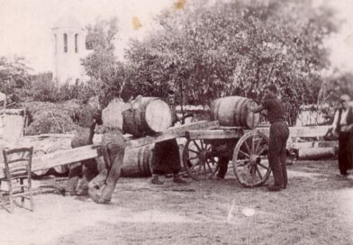 Винопроизводство (галерия архивни фотографии)