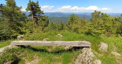 Панорамна площадка в подножието на родопския връх Ком