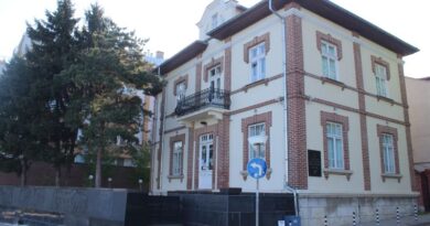 Къща музей „Баба Тонка“ в град Русе – община Русе, област Русе