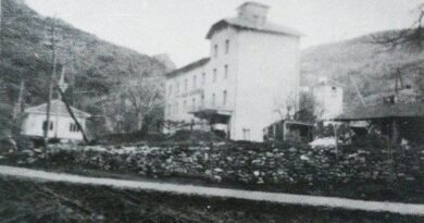 Фабрики, дюкяни и манифактура (галерия архивни фотографии)