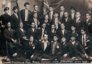 Организации (галерия архивни фотографии)