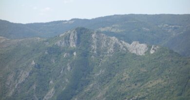 Гледки от връх Чуката 1263 м. – рид Манастирище, Западни Родопи