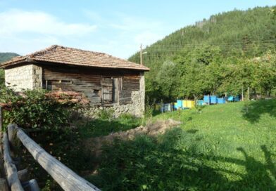 Село Рибен дол – община Баните, област Смолян