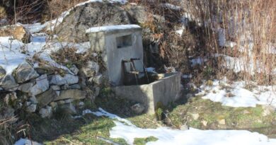 Чешма в местност „Въшива вода“ край ловна хижа над село Червен – община Асеновград, област Пловдив